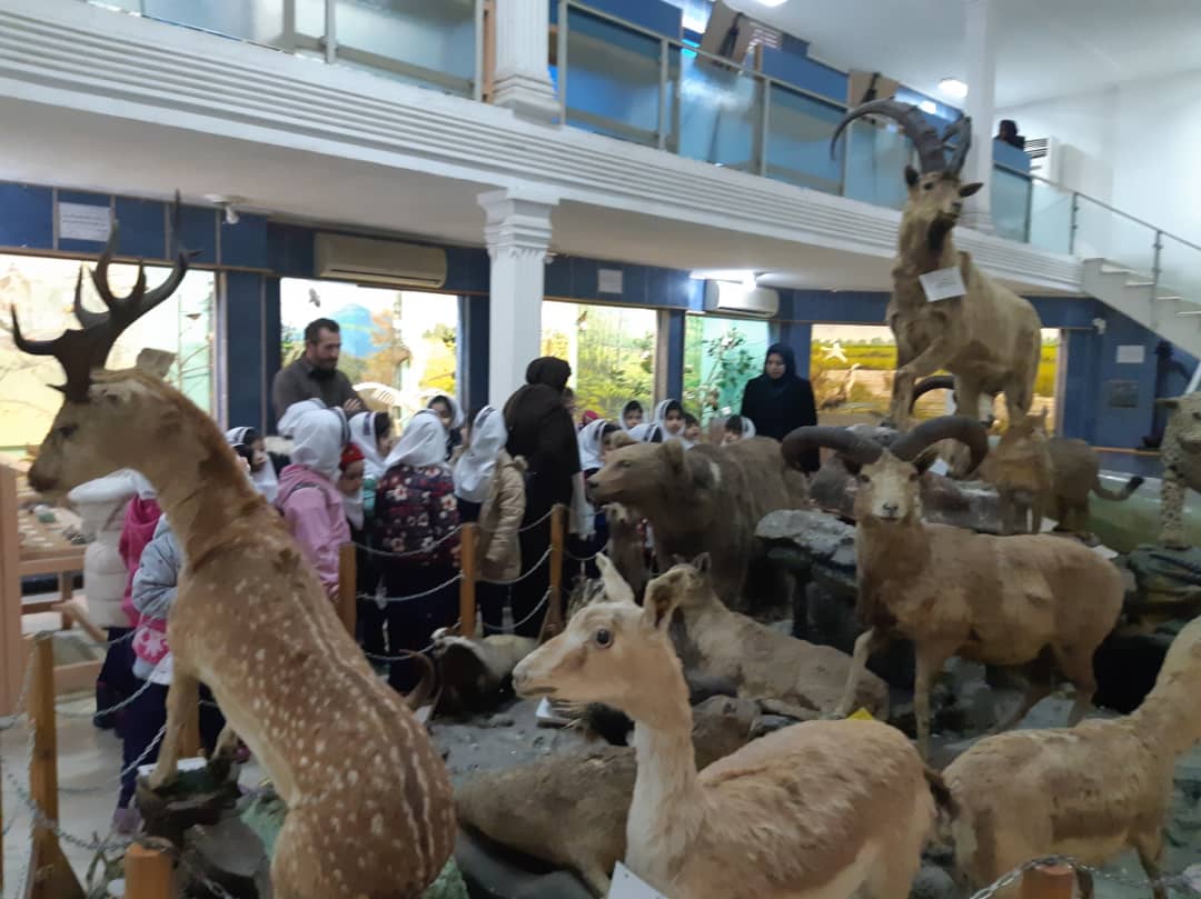 بازدید دانش آموزان پیش دبستان و پایه های اول و دوم از موزه جانورشناسی محیط زیست گیلان
